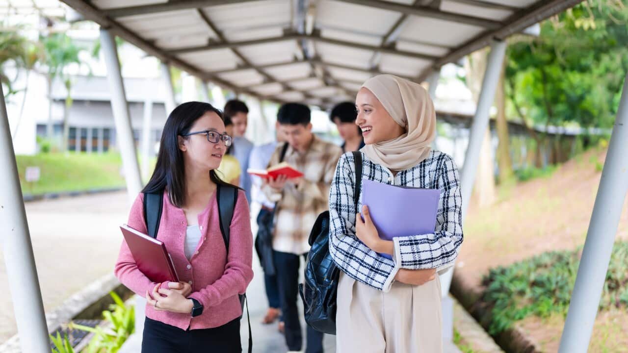Student Housing, International Students