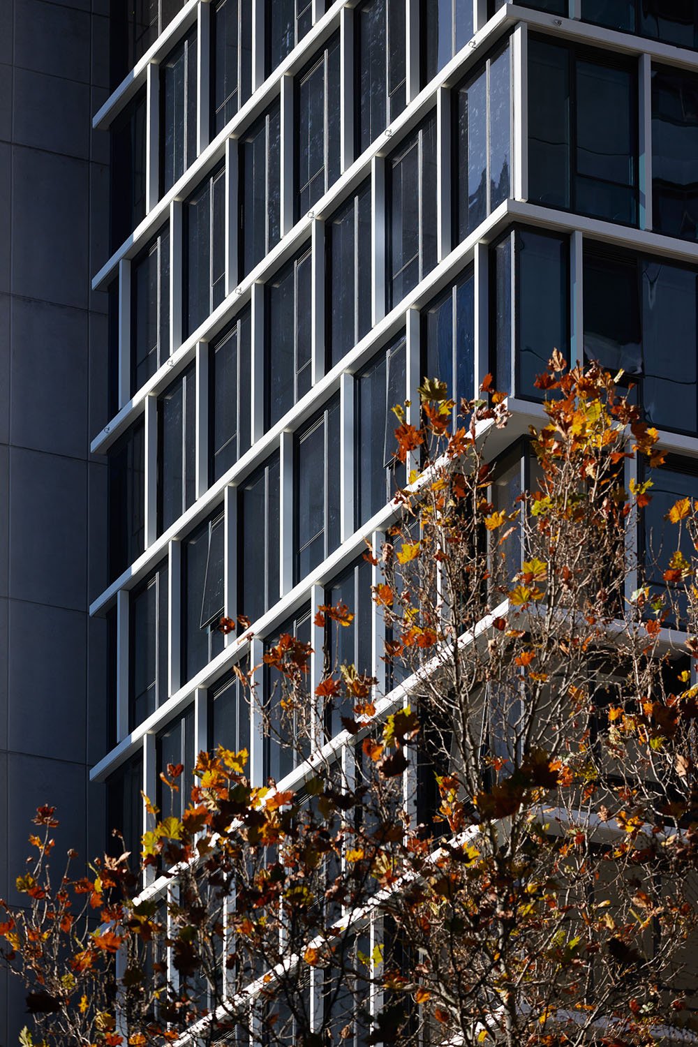 Y Suites A'Beckett Street, Student Accommodation